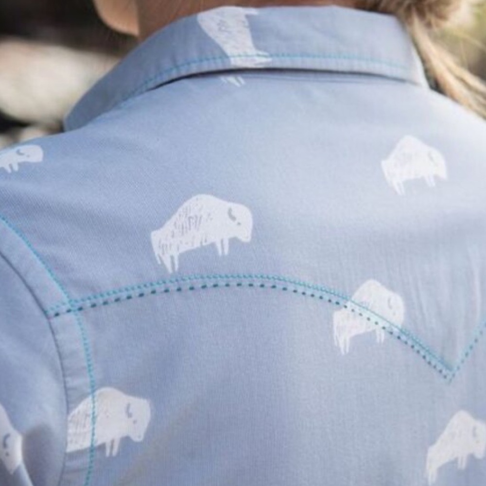 Ryan Michael Light Blue Buffalo Patterned Western… - image 2